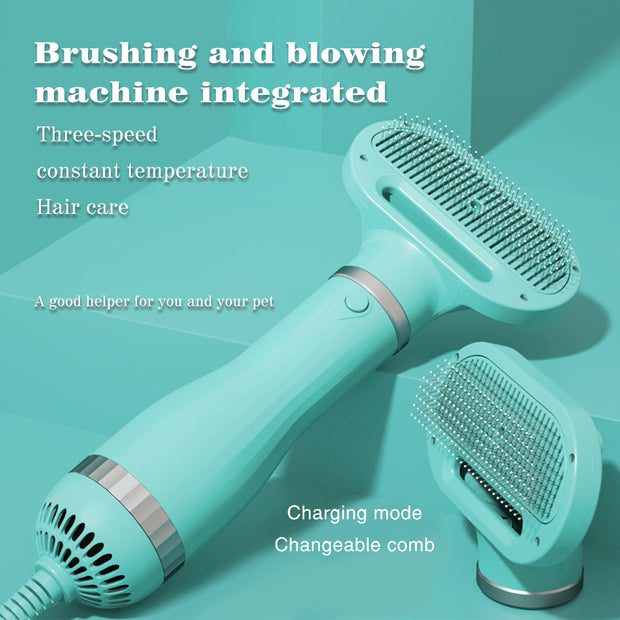 Amazon Hot Selling 2-In-1 Pet Dryer Grooming Brush Fashion Design Dog