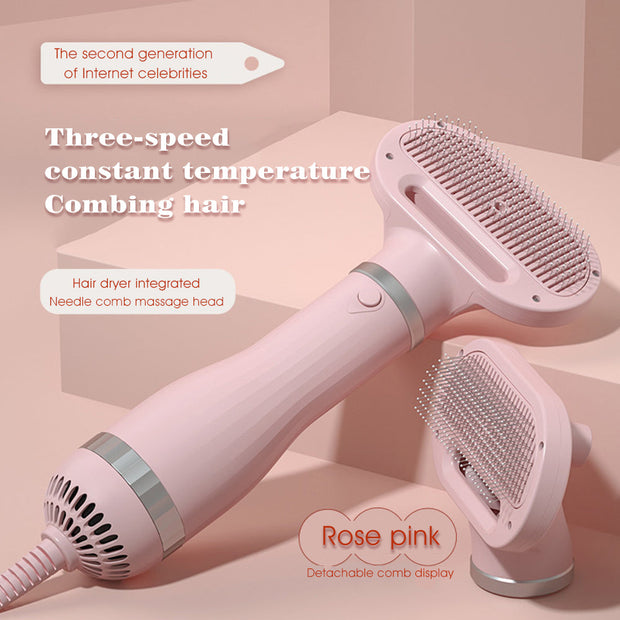 Amazon Hot Selling 2-In-1 Pet Dryer Grooming Brush Fashion Design Dog