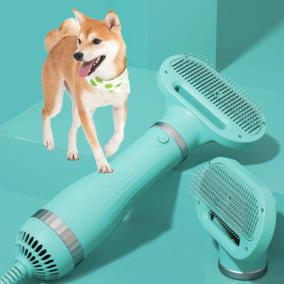 Amazon Hot Selling 2-In-1 Pet Dryer Grooming Brush Fashion Design Dog