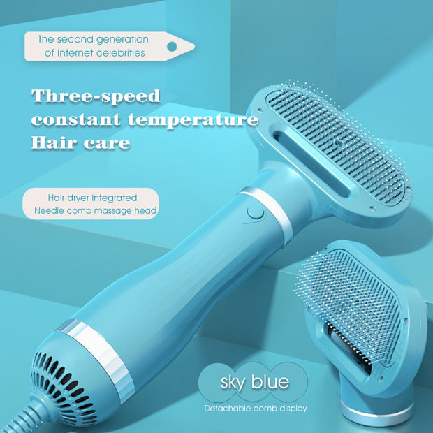 Amazon Hot Selling 2-In-1 Pet Dryer Grooming Brush Fashion Design Dog