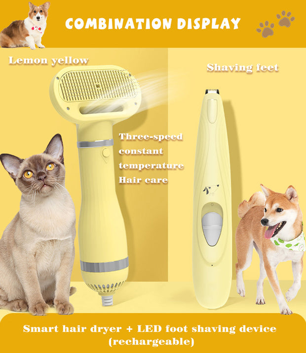 Amazon Hot Selling 2-In-1 Pet Dryer Grooming Brush Fashion Design Dog