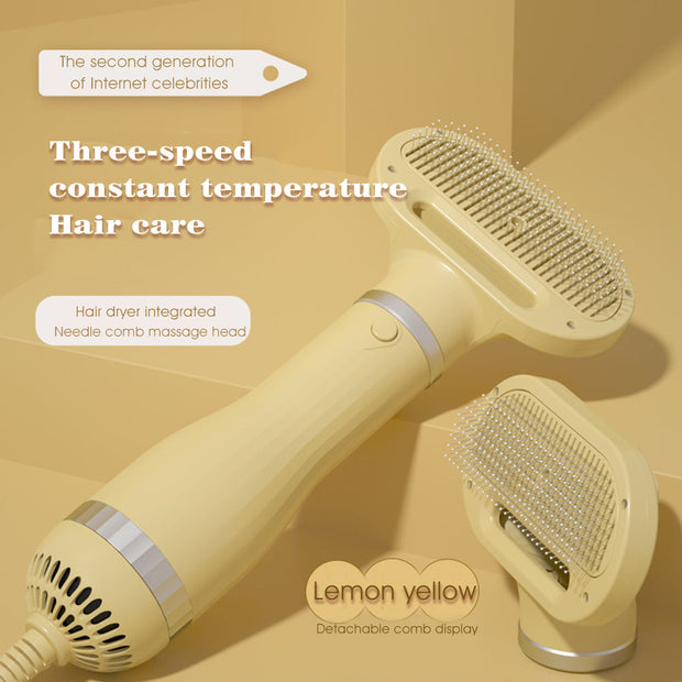 Amazon Hot Selling 2-In-1 Pet Dryer Grooming Brush Fashion Design Dog