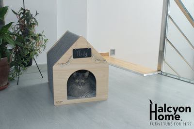 Apawtment cat house