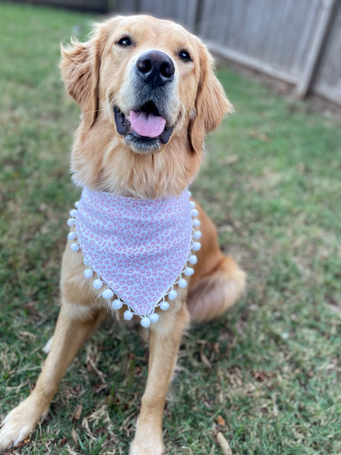 Cheetah Fringe bandana