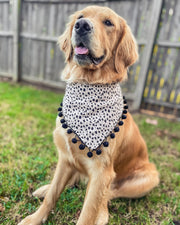 Cheetah Fringe bandana